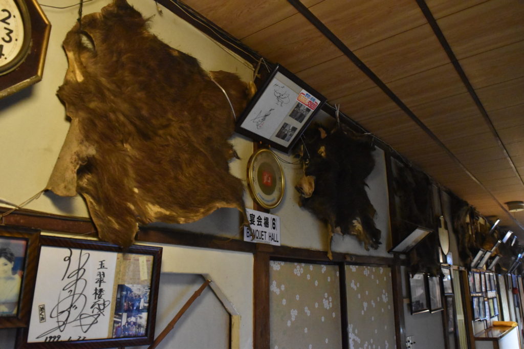 壁にかけてある猪の毛皮