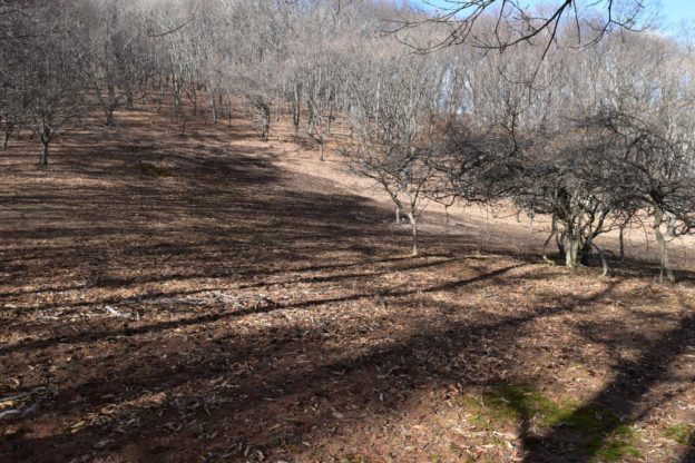 丘陵地帯を歩く