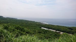 伊豆大島は緑豊かな島です