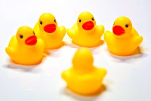 仲間がいるのはいいことです