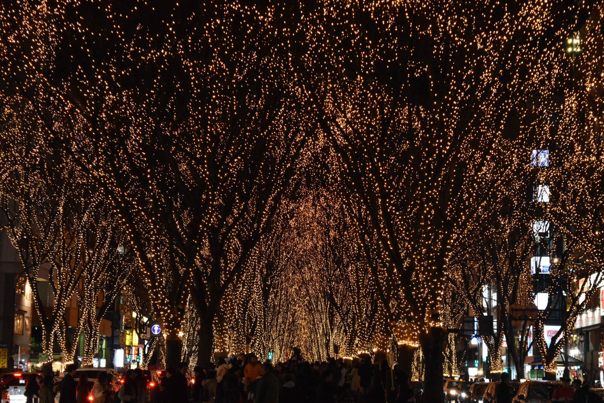 2017年の12月の仙台ひかりのページェント