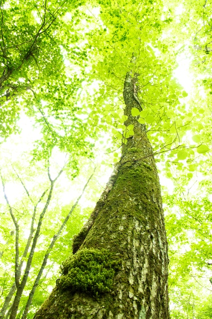相談の今後の流れ