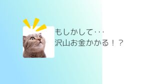 もしかしてお金が沢山かかる？