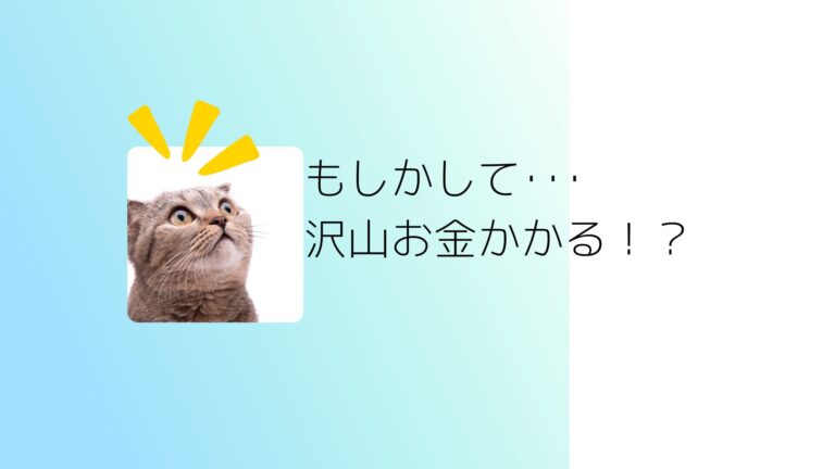 もしかしてお金が沢山かかる？