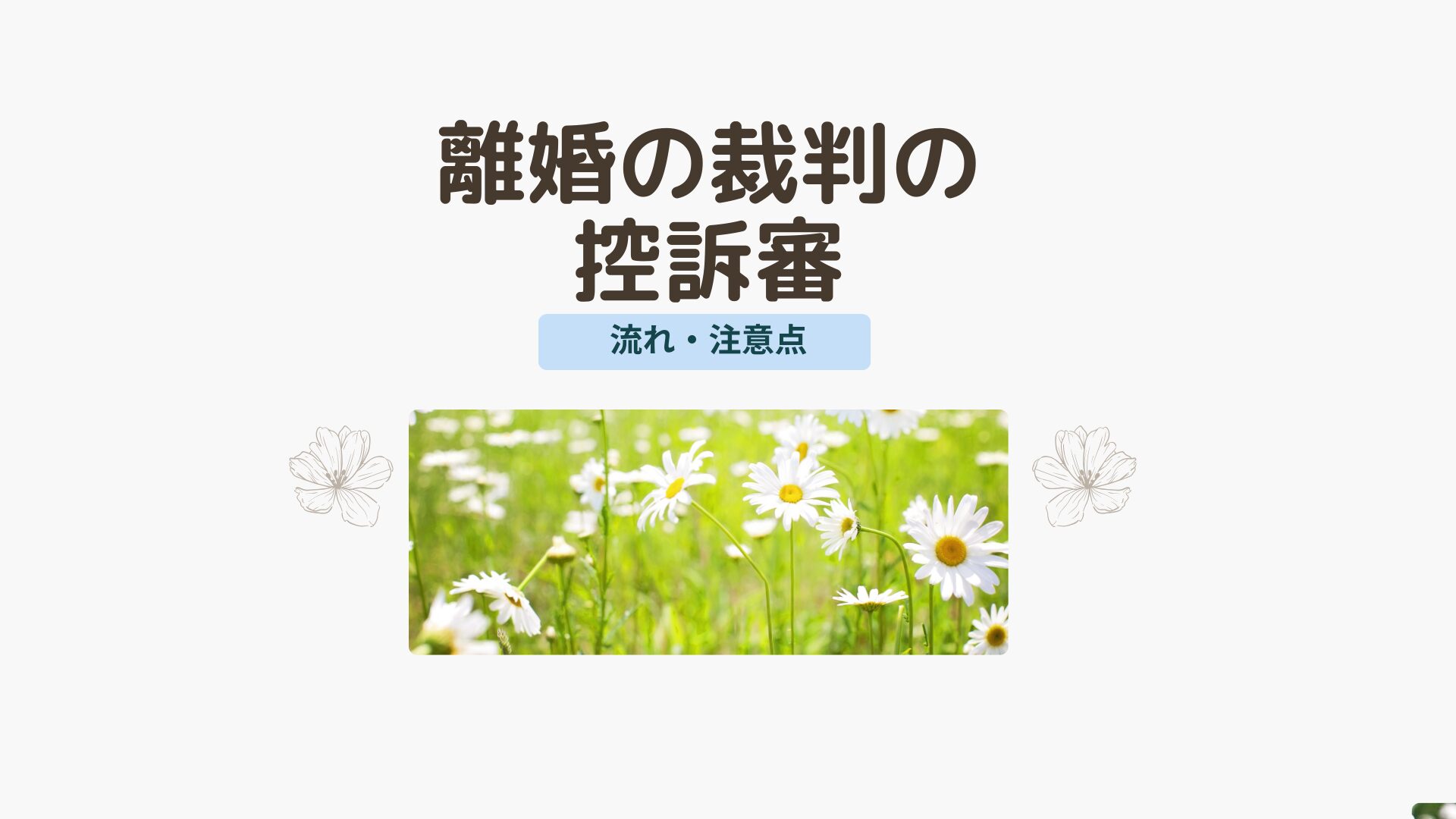離婚の裁判の控訴審の流れについてです